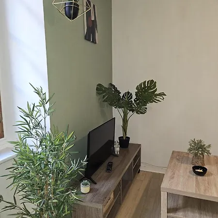 49 Centre-ville Box A Bagages Gratuits * Carcassonne