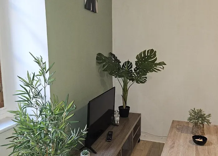 49 Centre-ville Box A Bagages Gratuits * Каркассон