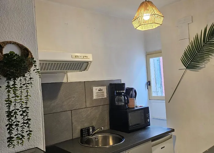 49 Centre-ville Box A Bagages Gratuits Carcassonne