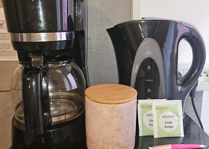 49 Centre-ville Box A Bagages Gratuits Апартаменты Каркассон